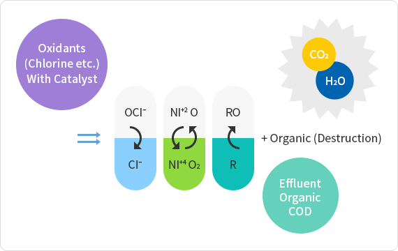 Catalytic Process