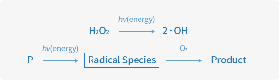 UV AOP System