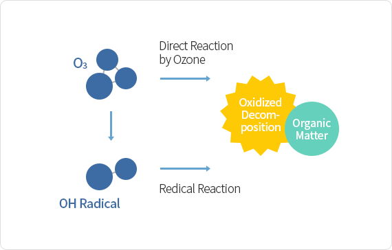 Ozone Oxidation